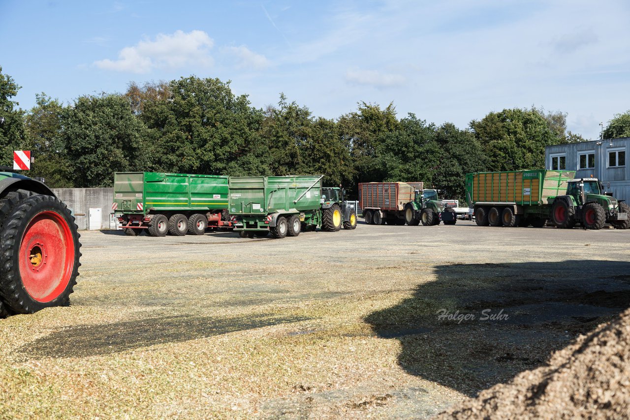 Bild 115 - Maisernte